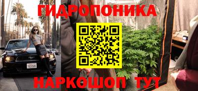 MDMA Гатчина