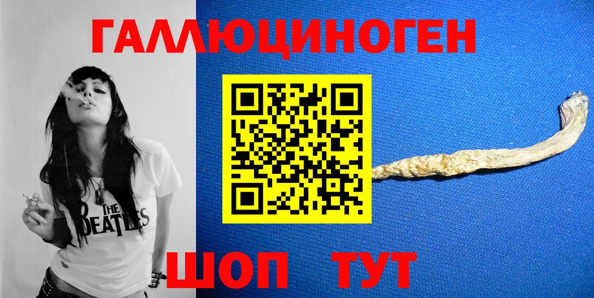 Псилоцибиновые грибы мицелий  закладка  Галлюциногенные грибы Psilocybine cubensis  Кореновск  Вход с VPN 