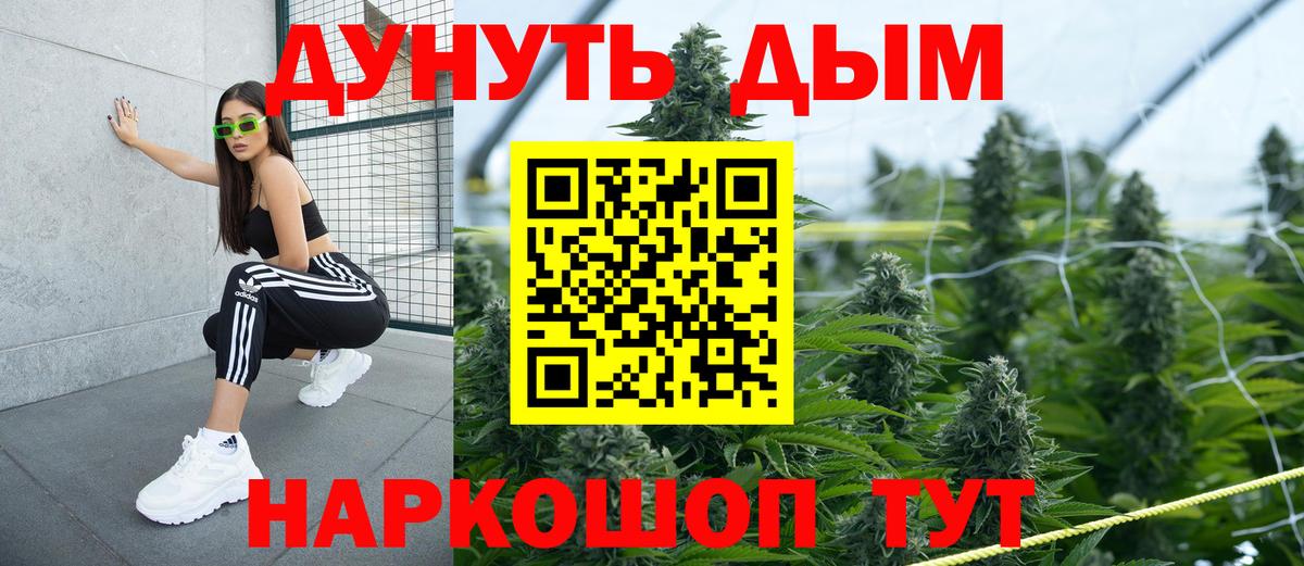 Бошки Шишки гибрид Кореновск